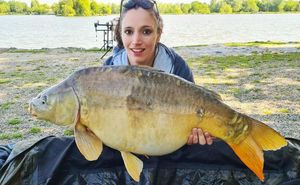 Mirror Carp