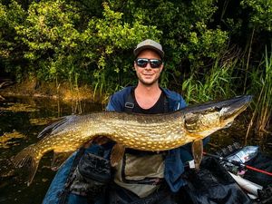 Northern Pike
