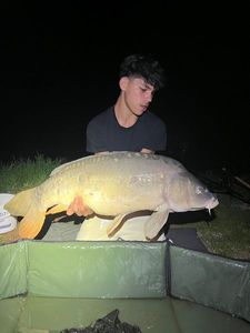 Mirror Carp