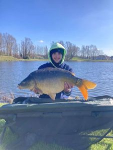 Mirror Carp