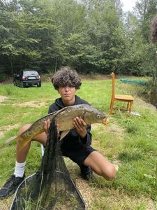 Mirror Carp
