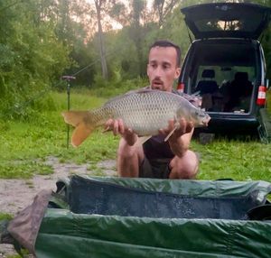 Common Carp
