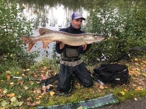 Northern Pike
