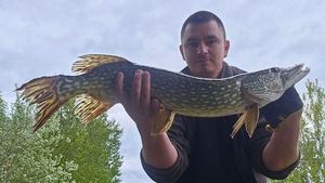 Northern Pike