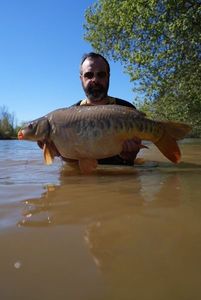 Mirror Carp
