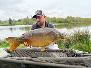 Mirror Carp