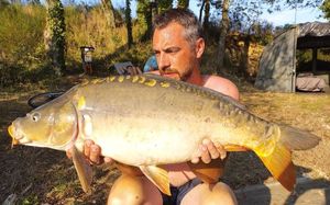 Mirror Carp