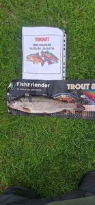 Rainbow Trout
