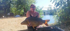 Mirror Carp