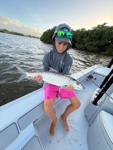 Bonefish