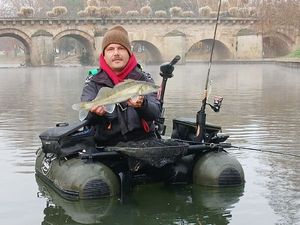 Zander