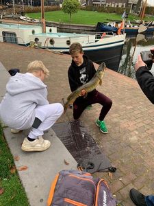 Northern Pike
