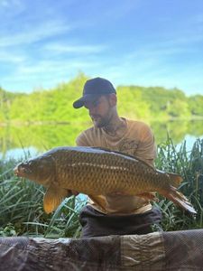 Common Carp