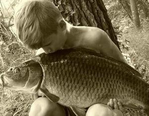 Common Carp