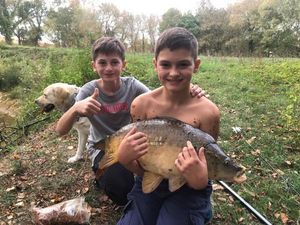 Common Carp
