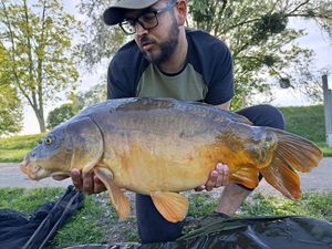 Mirror Carp