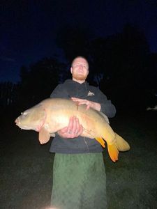 Mirror Carp