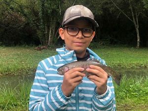 Rainbow Trout