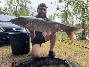 Silver Carp