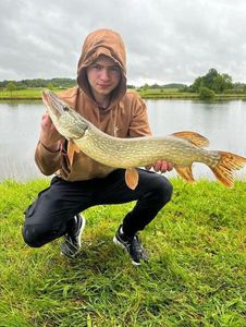 Northern Pike