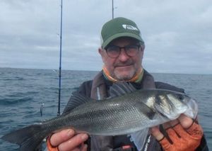 European Bass (Seabass)