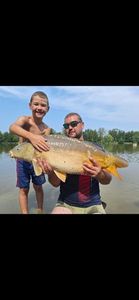 Mirror Carp