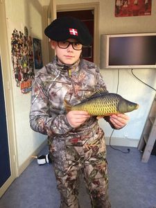 Common Carp