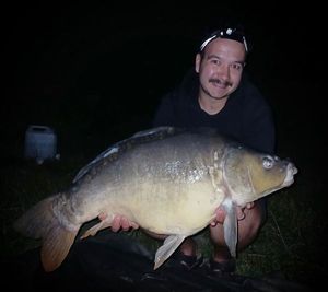 Mirror Carp