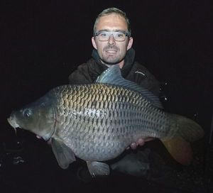 Common Carp