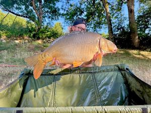 Mirror Carp