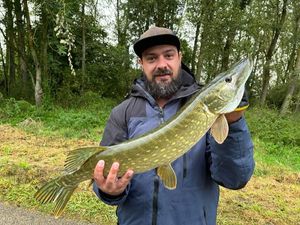 Northern Pike