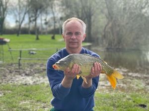 Common Carp