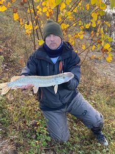 Northern Pike