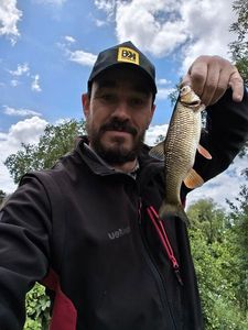 Chub