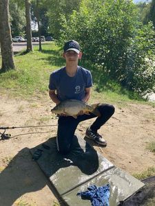 Common Carp