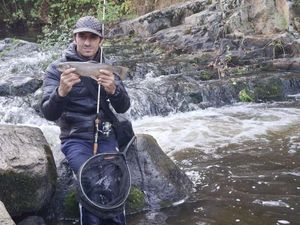 Brook Trout