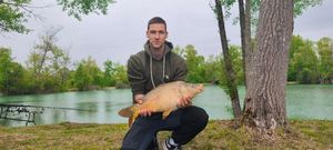 Mirror Carp