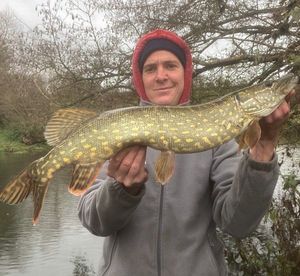 Northern Pike