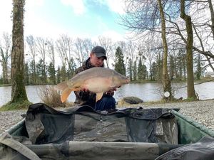 Mirror Carp