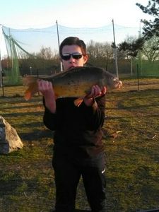 Mirror Carp