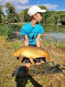 Common Carp