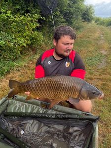 Common Carp
