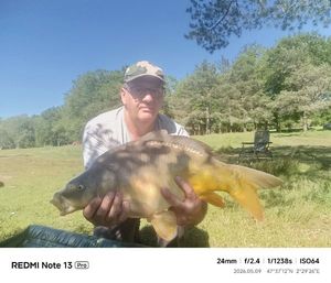 Mirror Carp