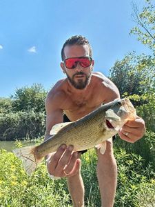 Largemouth Bass
