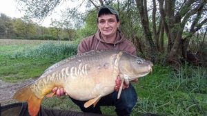 Mirror Carp