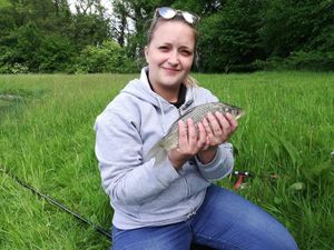 Crucian Carp