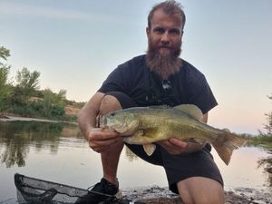 Largemouth Bass