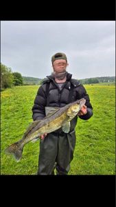 Zander