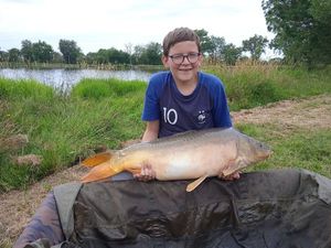 Mirror Carp