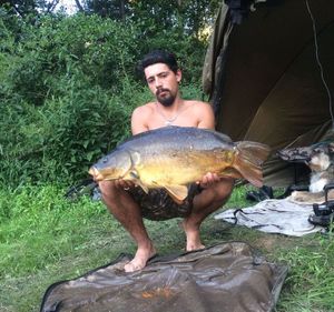 Mirror Carp